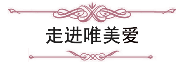 唯美愛(ài)簡(jiǎn)介