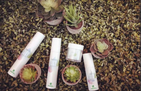 開皮膚管理中心多少錢？小型皮膚管理中心費用分析