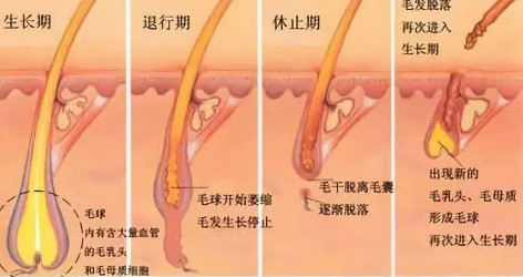 iGLORY完美睫毛增長液，喚醒睫毛逆生長，30天睫毛長一倍