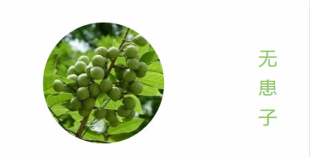 NewNewDIY|敏感肌如何選洗面奶？皮膚科醫(yī)生推薦這款！