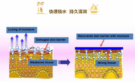 NEWNEW終極水潤補水面霜，讓你告別冬季撒哈拉沙漠!