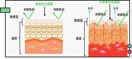 拒絕春季過敏、紅腫、發(fā)癢！敏感肌的救星來啦~