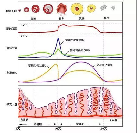 “閉口”這個(gè)磨人的小妖精又出來作妖啦！