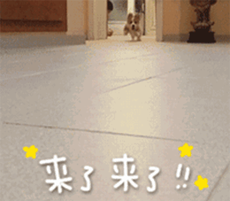 美妝課堂 | 春夏元氣口紅大推薦，選擇這幾支準(zhǔn)沒錯！