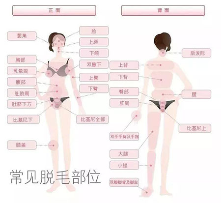 春季不脫毛，夏季獼猴桃！現(xiàn)在是脫毛的 佳時(shí)機(jī)~