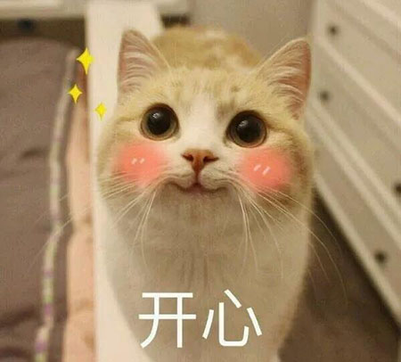 鼻綜合—點(diǎn)亮五官的魅力，拯救你的回頭率！