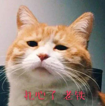 敏感肌們，你離變美就差這瓶精華液啦！