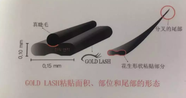 貌雖美卻眼無神？GOLD LASH夏日「美睫」Get娃娃電眼