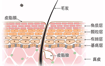 皮膚若缺水，問題千千萬