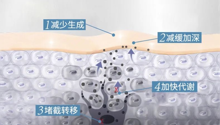水漾保濕爽膚水，抓住發(fā)光“肌”密