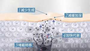 水漾保濕爽膚水，抓住發(fā)光“肌”密